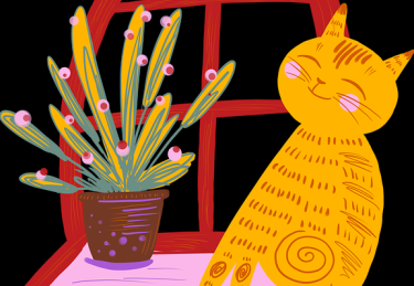 P站官方官网——IP 进阶行业观察深读