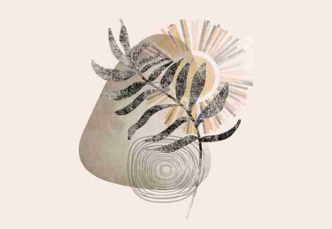 算法透视《麻豆网》流量翻倍必读