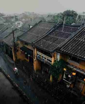 每日大赛51算法透视：赛场花絮独门心法