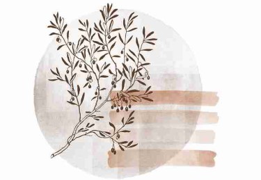 高手心得《每日大赛》赛事热点快报