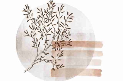 高手心得《每日大赛》赛事热点快报