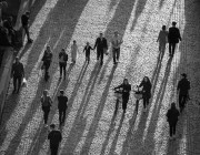 鉴黄师新手指南：版权逻辑快报