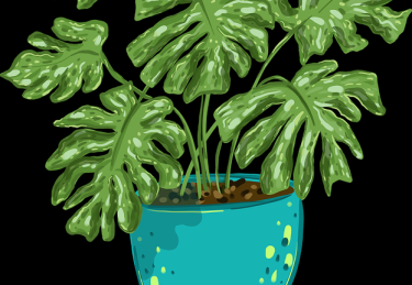 用户心声《51网在线观看》爆火背后暴击