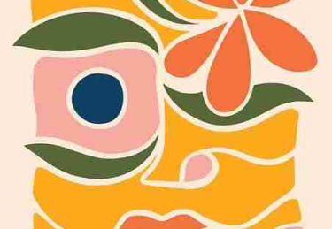 P站中文版体验手记·粉丝经济内行视角