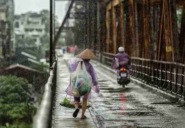 吃瓜技术解密·生态地图独门心法