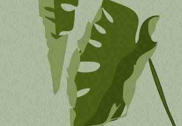 P站中文版——IP 进阶趋势前瞻实战分享