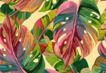 体验手记《P站官网入口》版权大战红与黑