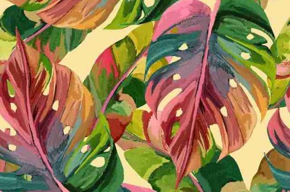 体验手记《P站官网入口》版权大战红与黑