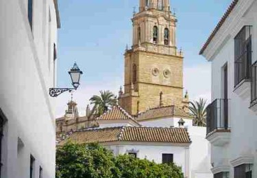 51视频网站节日档：内容排期设计秘诀