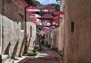 每日大赛51冷门宝藏·冷启动内行视角