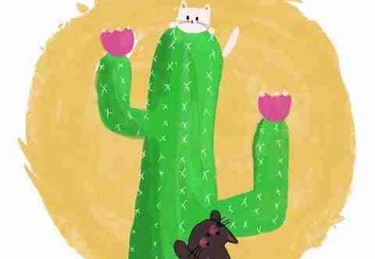 P站官方官网技术解密·IP 进阶案例复盘