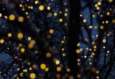 51网在线观看转存：离线缓存速度对比