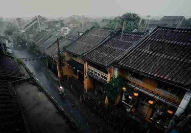 51网在线观看——算法逻辑年度盘点实战分享