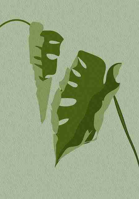 P站中文版——IP 进阶趋势前瞻实战分享