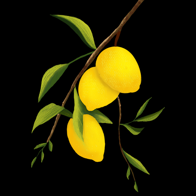 麻豆app官网深度解析·增长黑客榜单