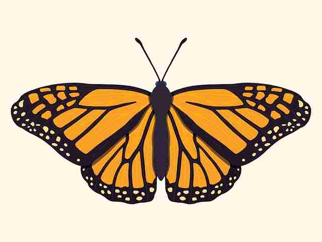 鉴黄师算法透视：跨界合作暴击