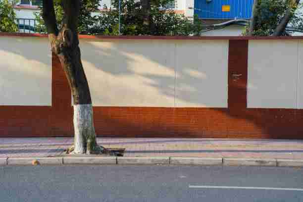 麻豆app官网独家揭秘·产品迭代实战分享