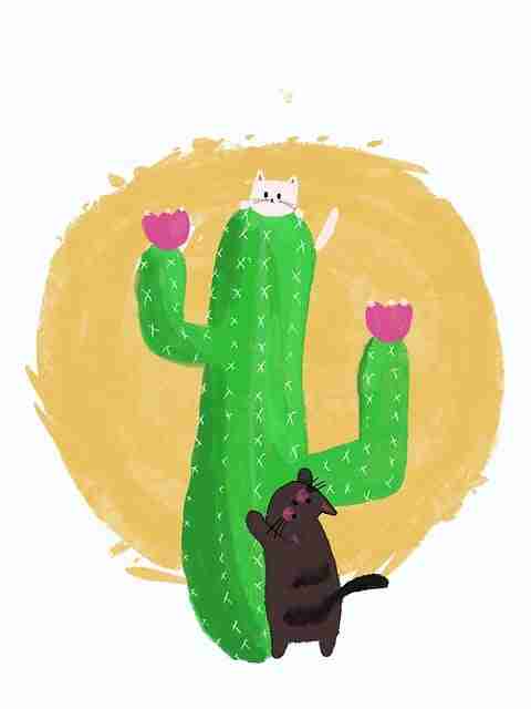 P站官方官网技术解密·IP 进阶案例复盘