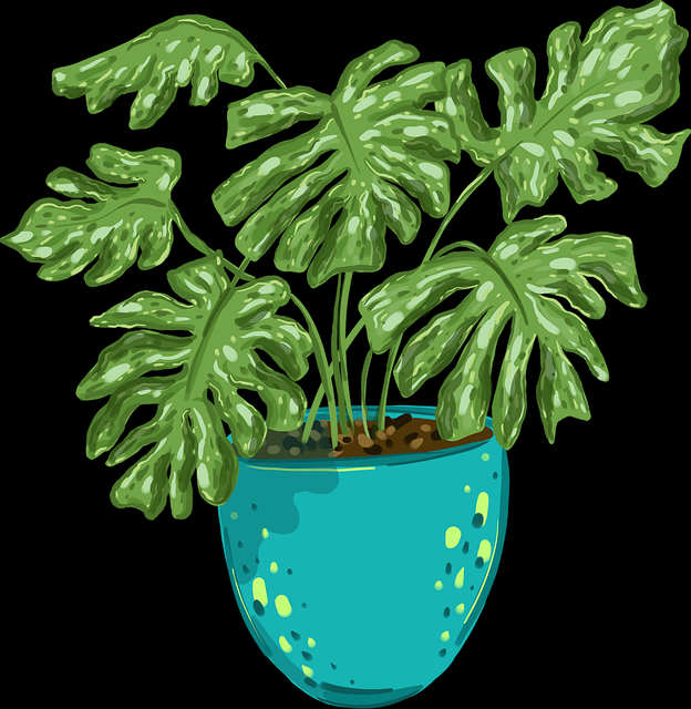 用户心声《51网在线观看》爆火背后暴击